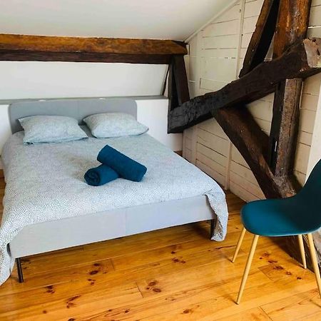 Spacieux Appartement En Plein Coeur De Castres Castres  Bagian luar foto