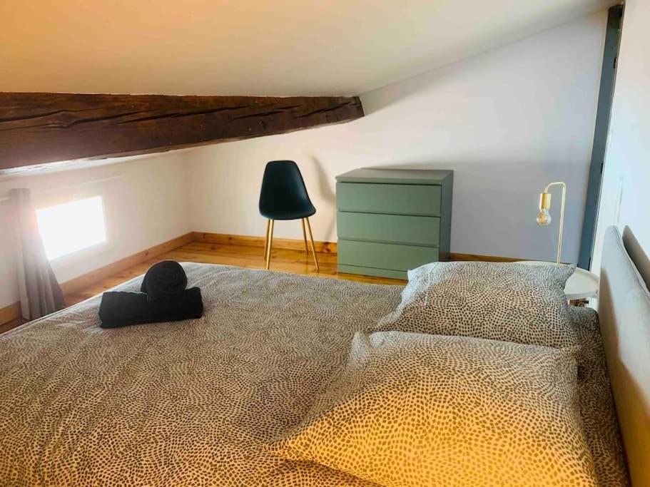 Spacieux Appartement En Plein Coeur De Castres Castres  Bagian luar foto