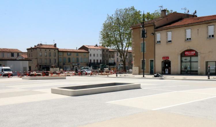 Spacieux Appartement En Plein Coeur De Castres Castres  Bagian luar foto